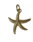 Medium Gold filled starfish Charm