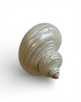 Turbo Shell Charm