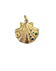 Colorful gem scallop shell