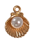Pear scallop Shell charm, natural transparent charm image
