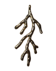 Daddy Coral charm on transparent background