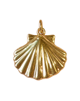 Gold Clam Shell Charm on transparent background