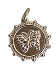Silver butterfly coin — natural silver charm on transparent background