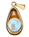 PVD oyster with pearl charm — natural color, transparent background