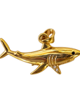 Diamond Shark tooth charm — Full body shark — natural color, transparent background
