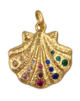 Colorful gem scallop shell