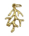 Baby Coral Charm on transparent background
