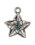Silver December birth flower charm transparent full edit