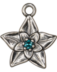 December silver birth flower charm, large transparent image