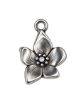 Silver February birth flower charm transparent full edit