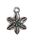 Silver March birth flower charm transparent full edit