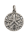 Silver sand dollar on transparent background