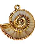 Spiral Shell Charm, natural transparent charm image