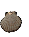 Real Gold Lined Shell charm