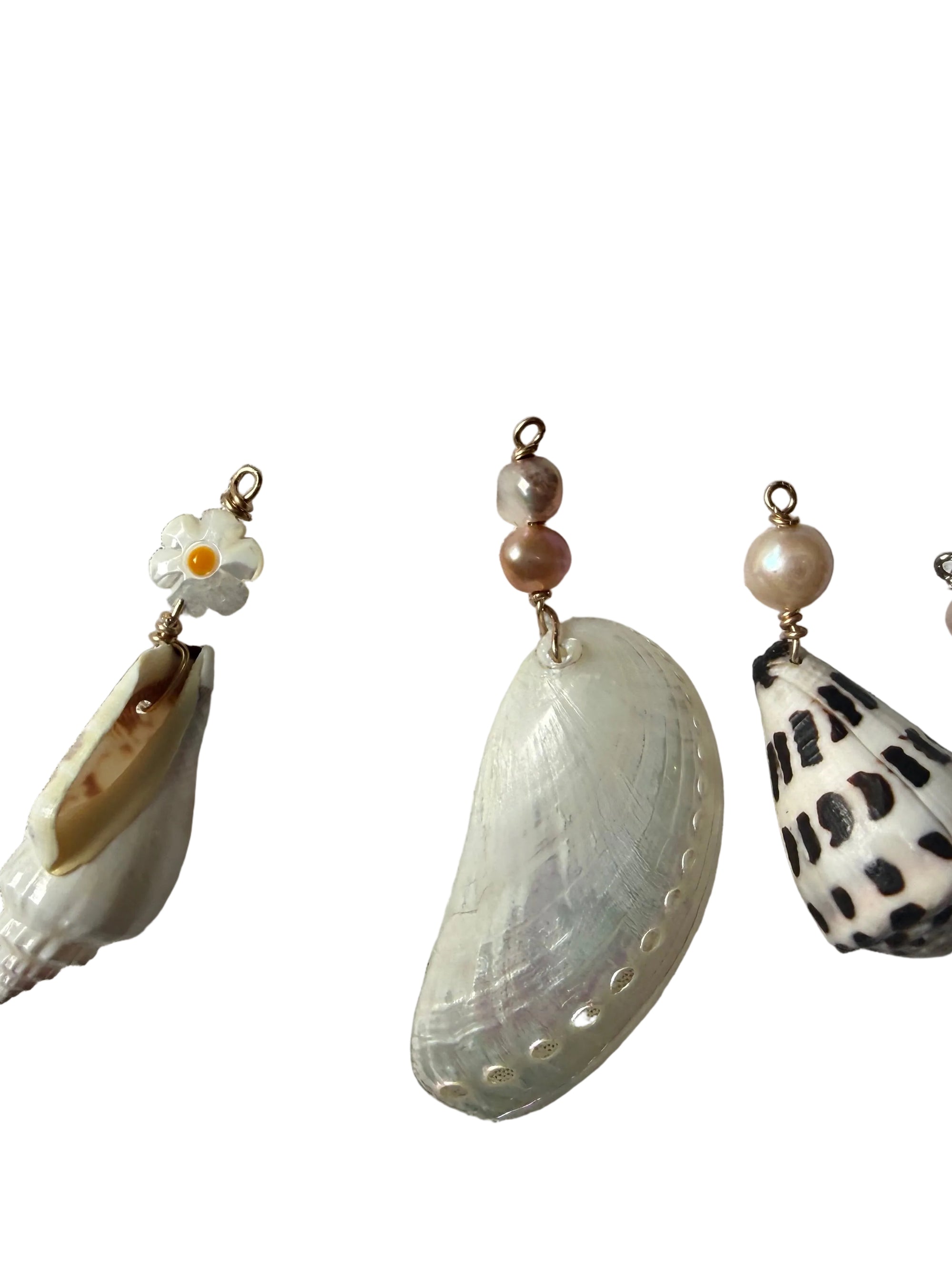 Wire wrapped seashells
