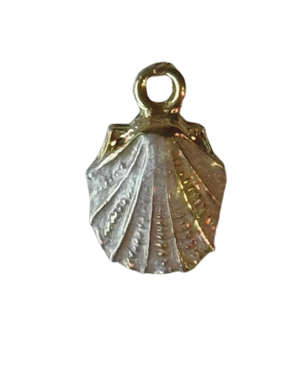 Pink Oyster shell  charm