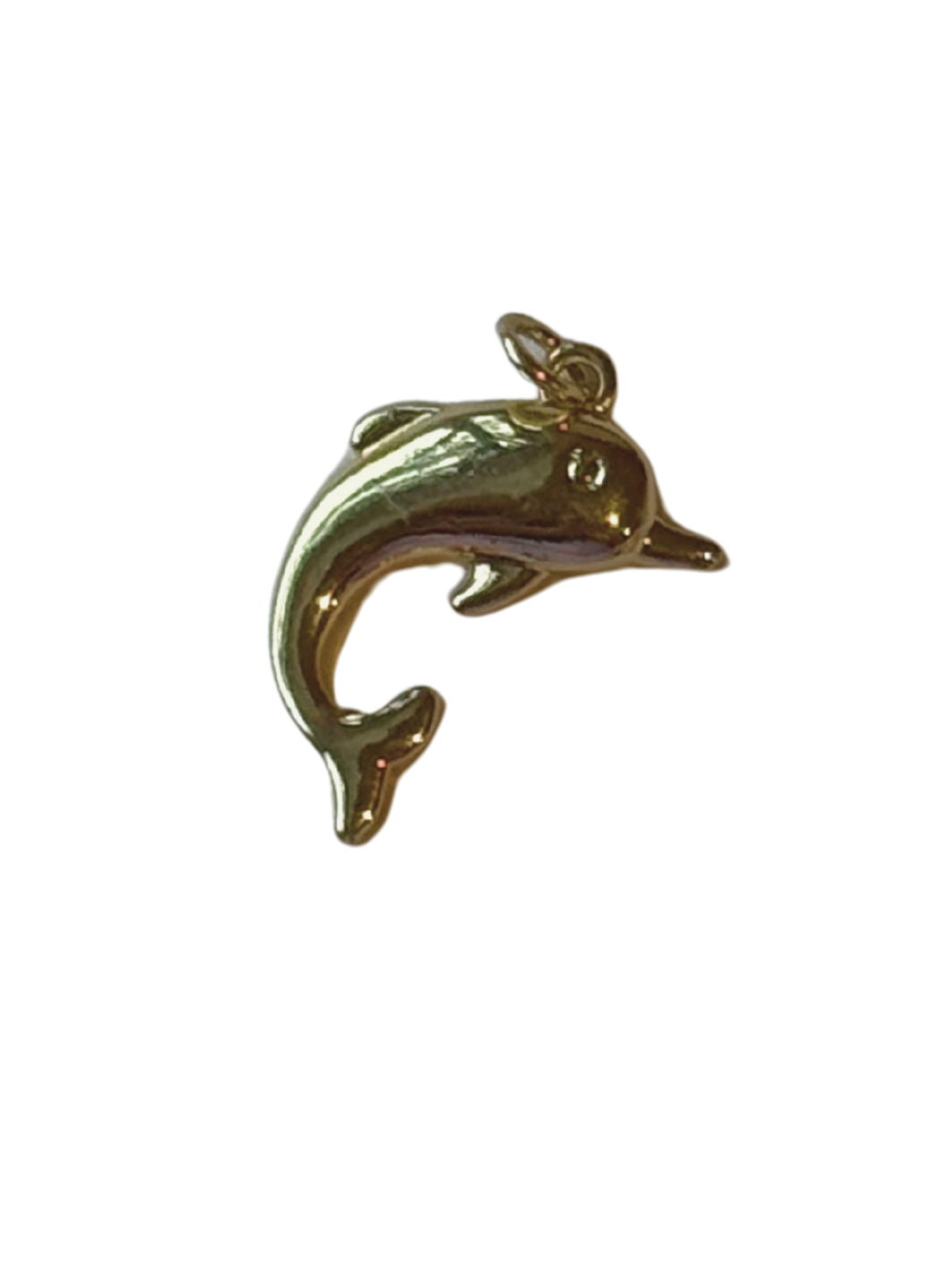 DOLPHIN Charm