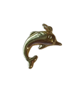 DOLPHIN Charm