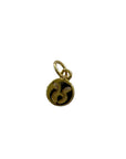 Mini Zodiac Sign Charm