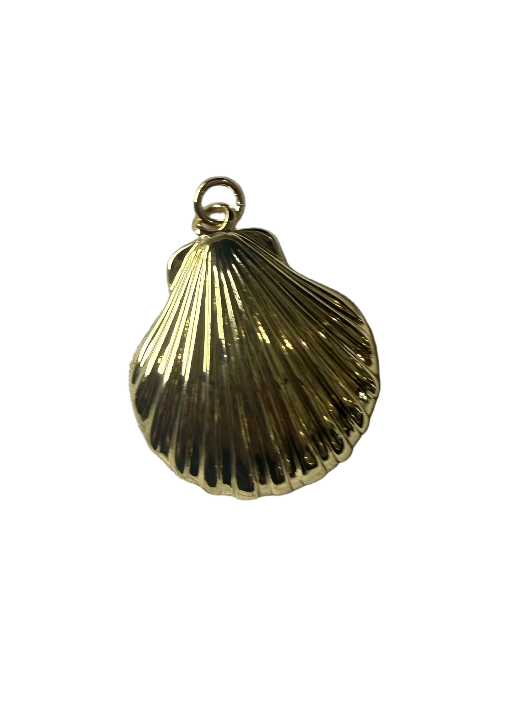 Gold filled Oyster shell