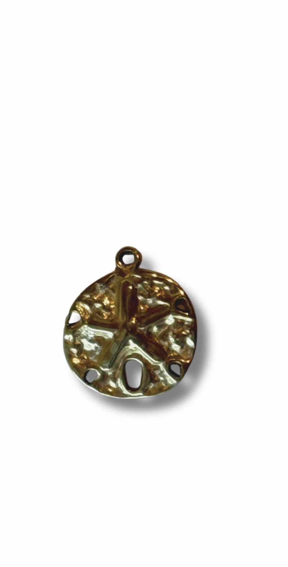 Chunky Sand Dollar Charm