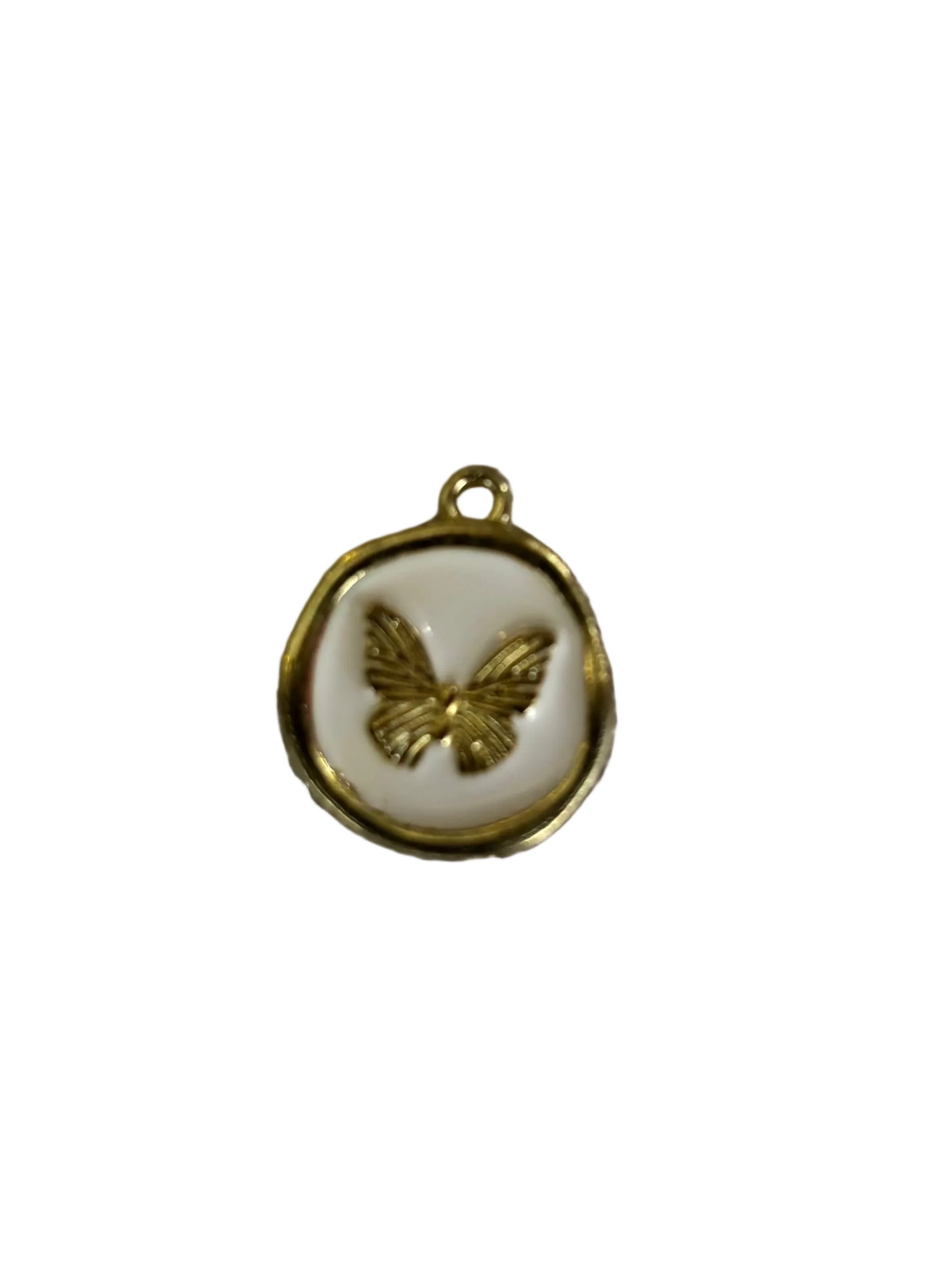 White Circle butterfly