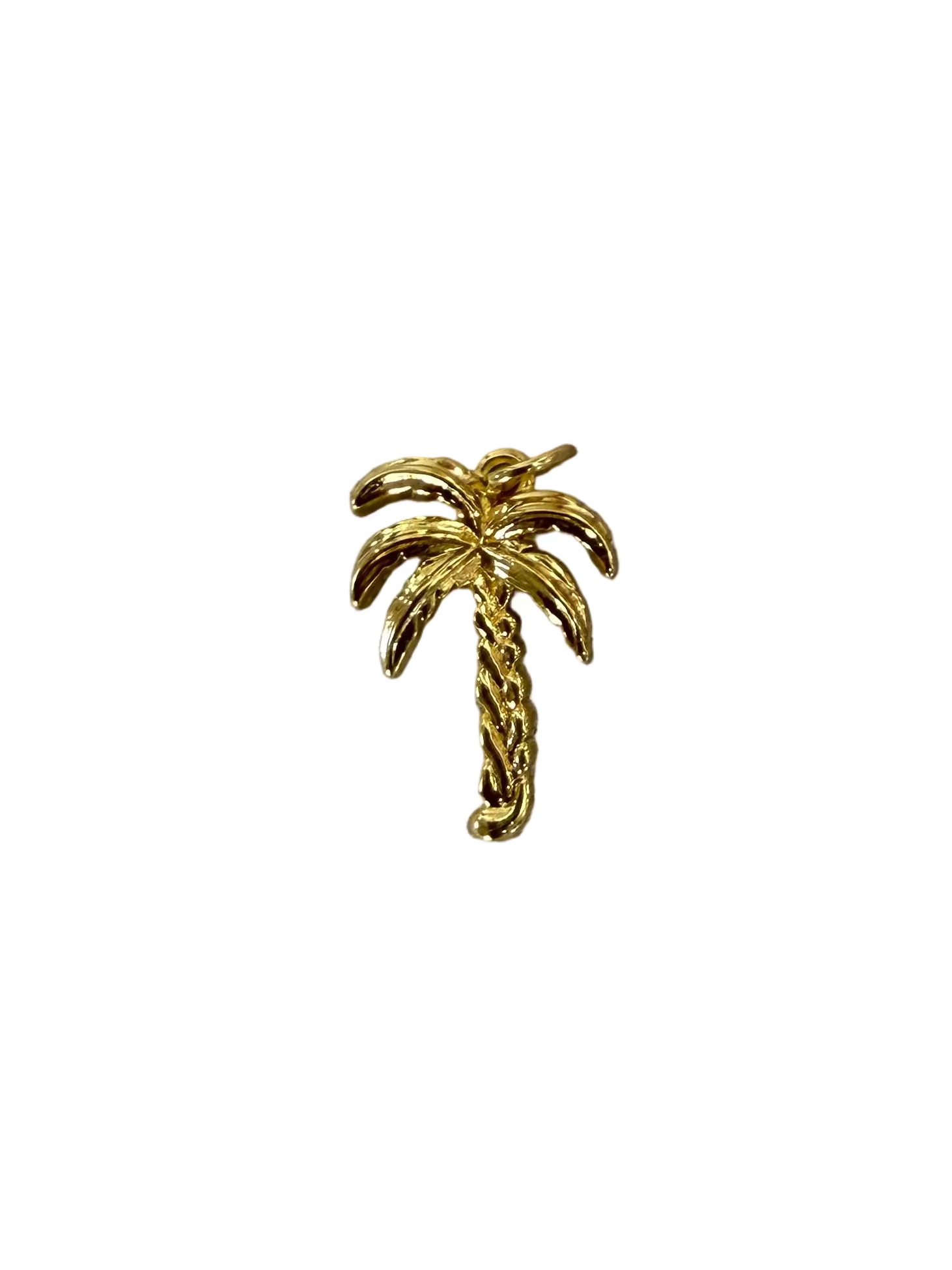 Big Palm Tree