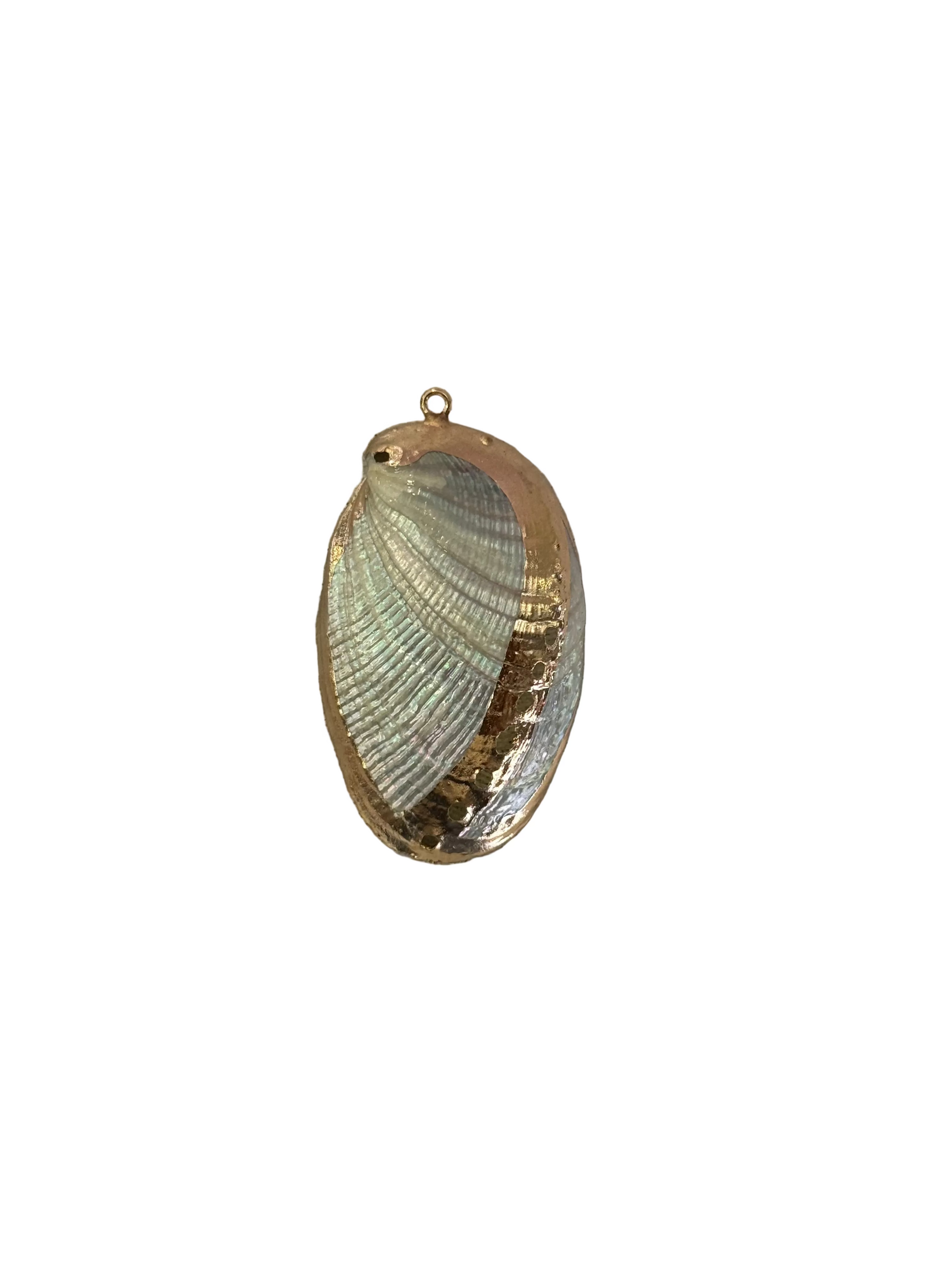 Abalone Shell charm