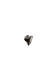 PVD stainless steel Shark Tooth