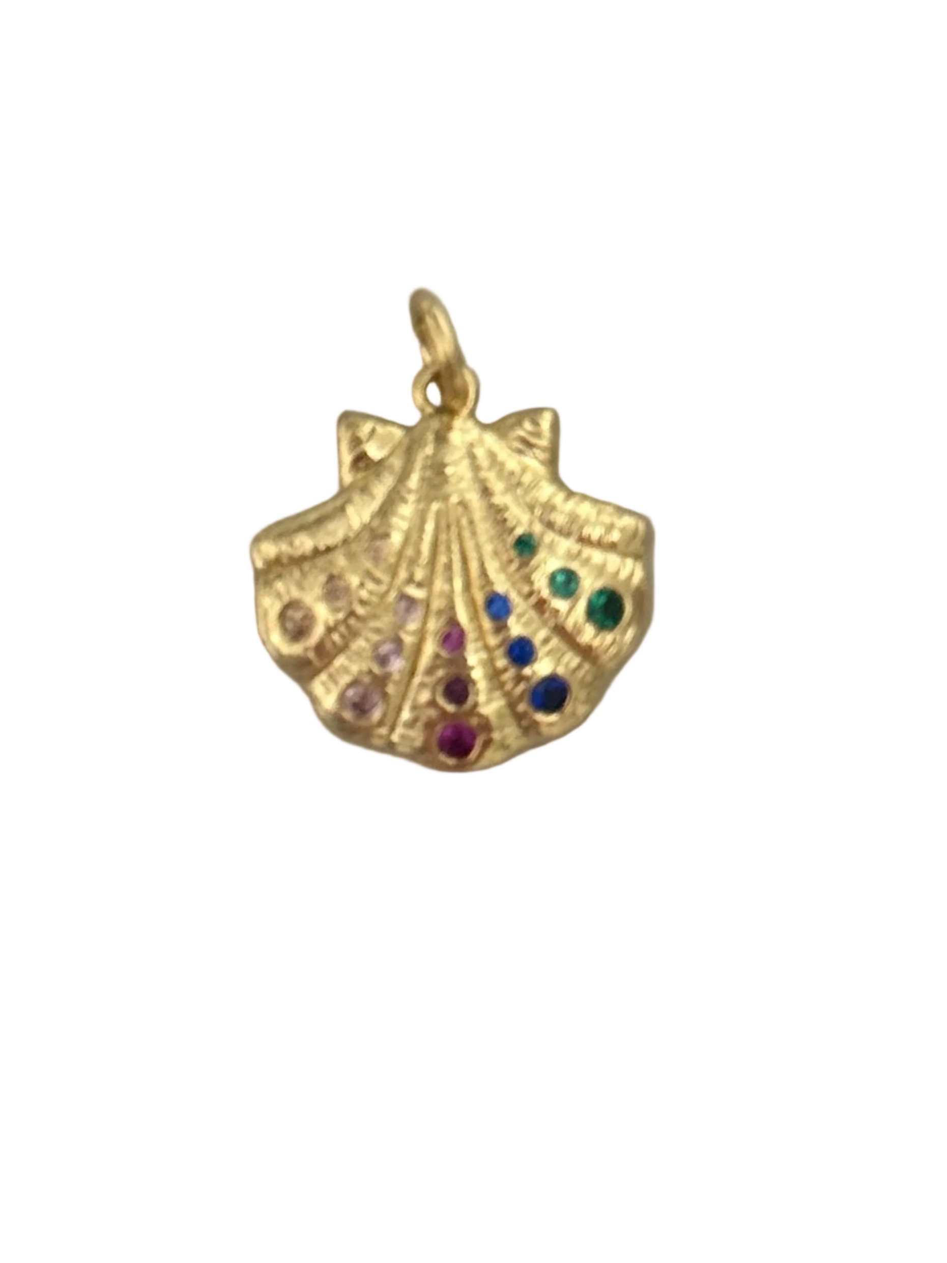 Colorful gem scallop shell
