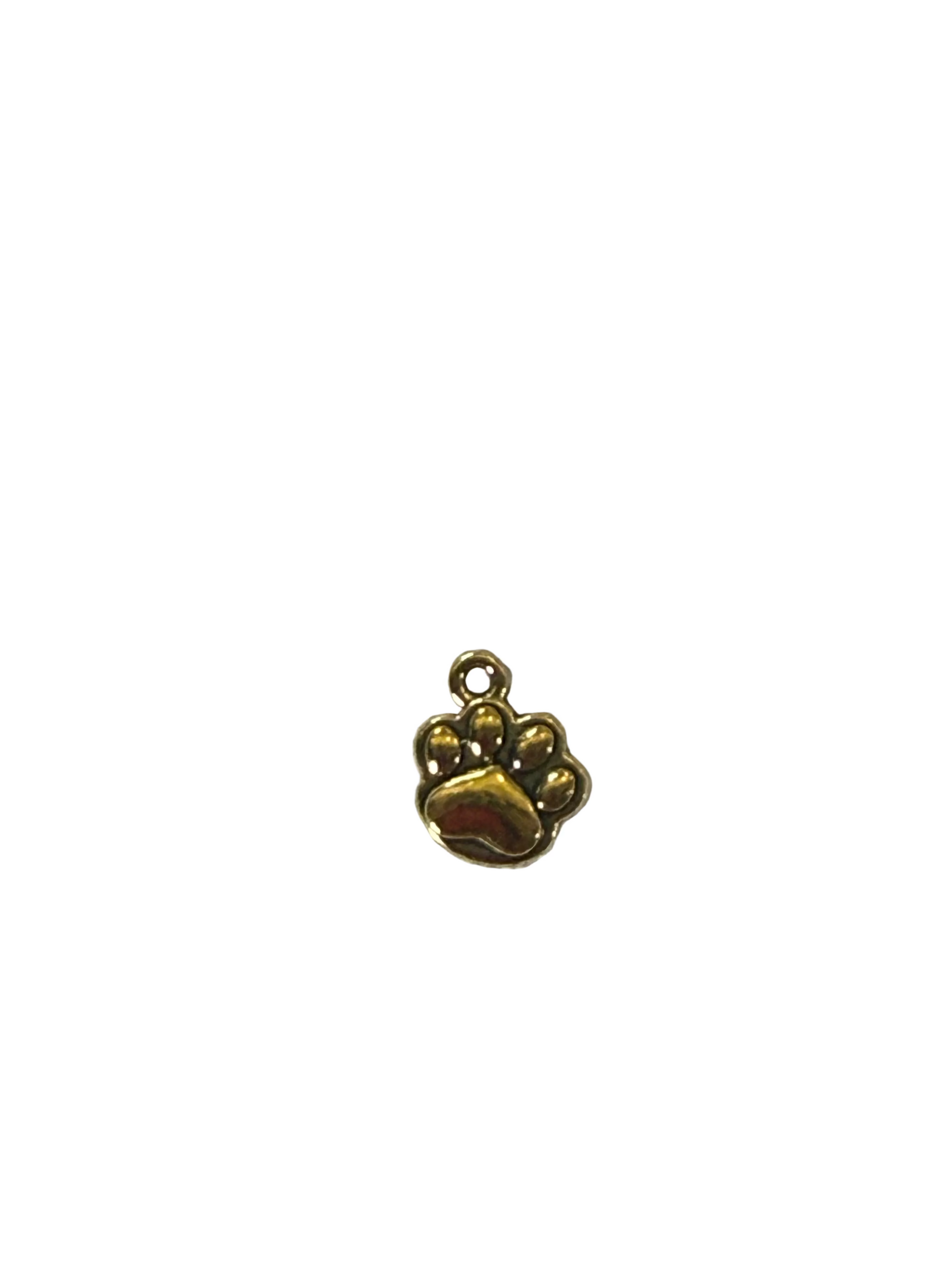 Puppy paw