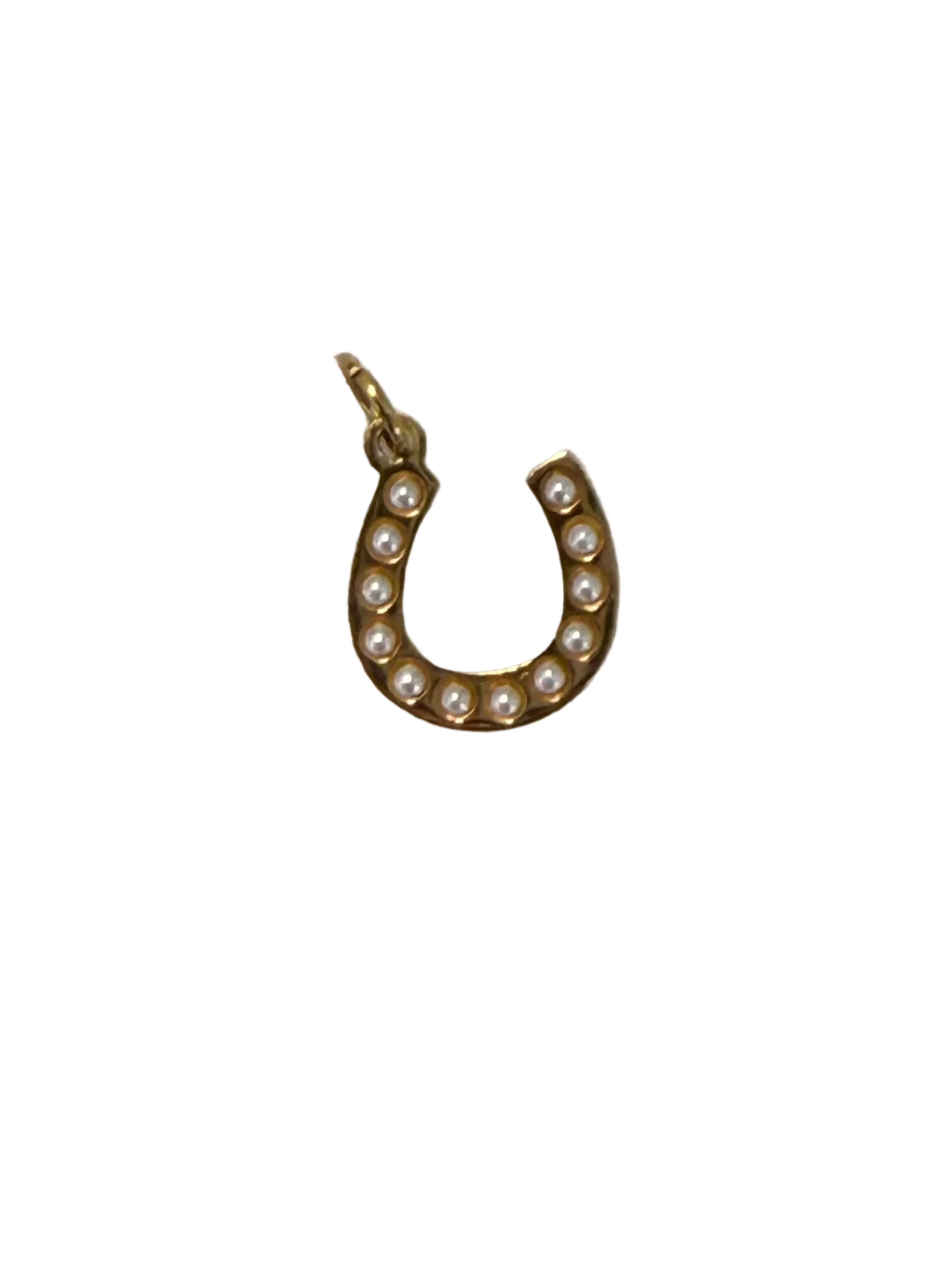 PVD Diamond horse shoe charm