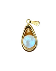 PVD oyster with pearl charm