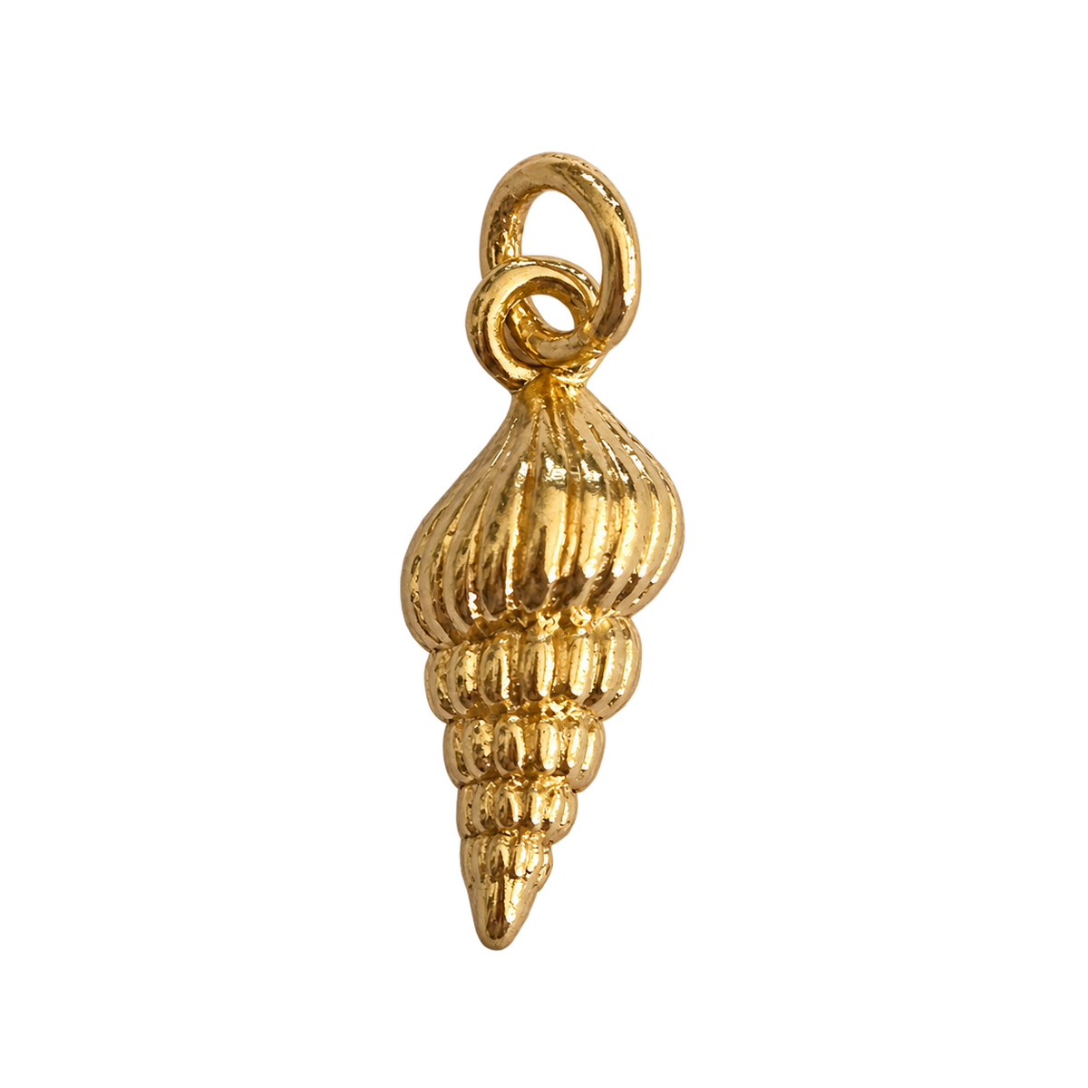 Cone Shell Charm, natural transparent charm image