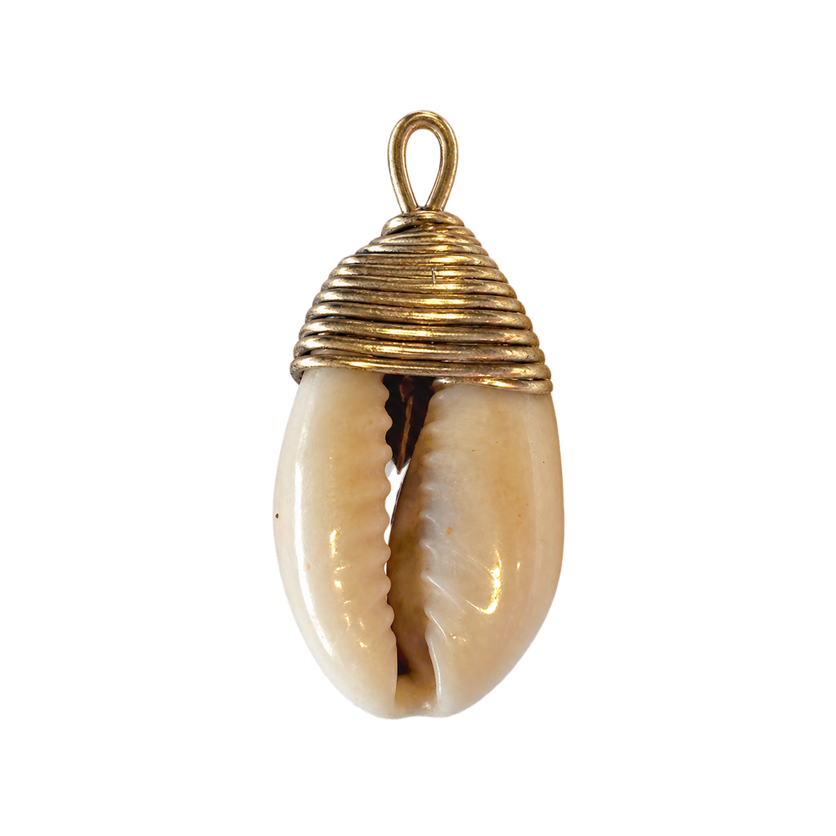 Cowrie Shell charm, natural transparent charm image