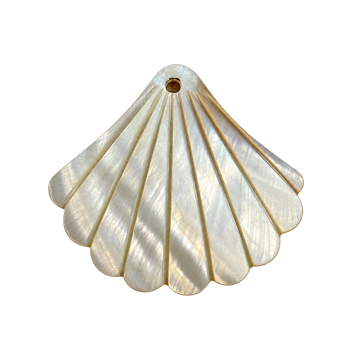 Mother Of Pearl Shell Charm transparent charm image