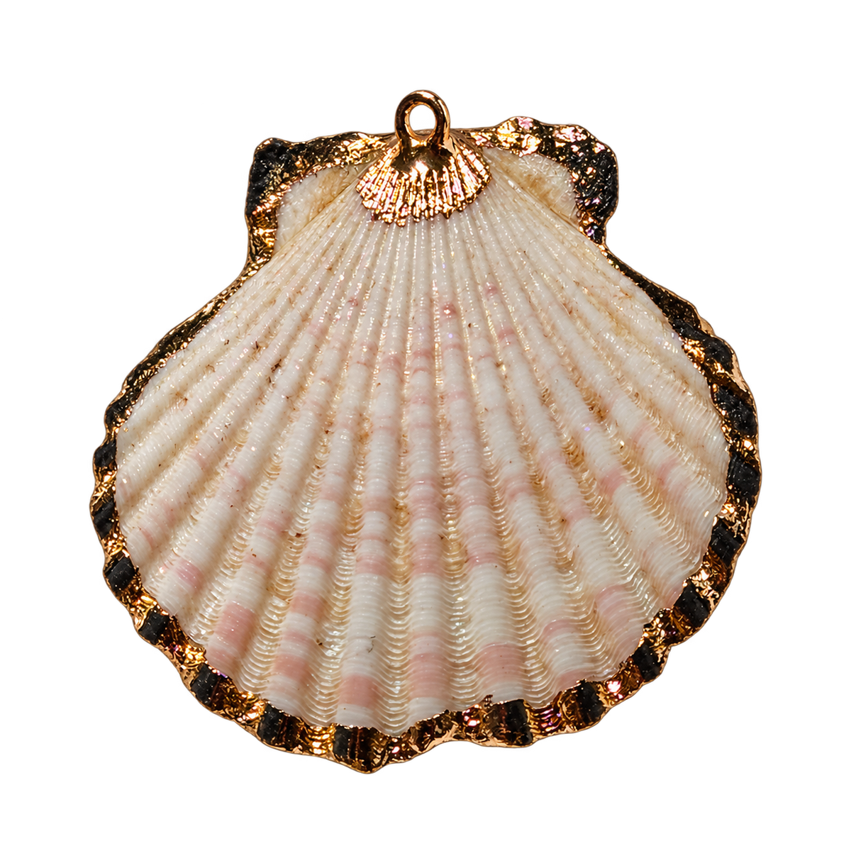 Real Gold Lined Shell charm, natural transparent charm image