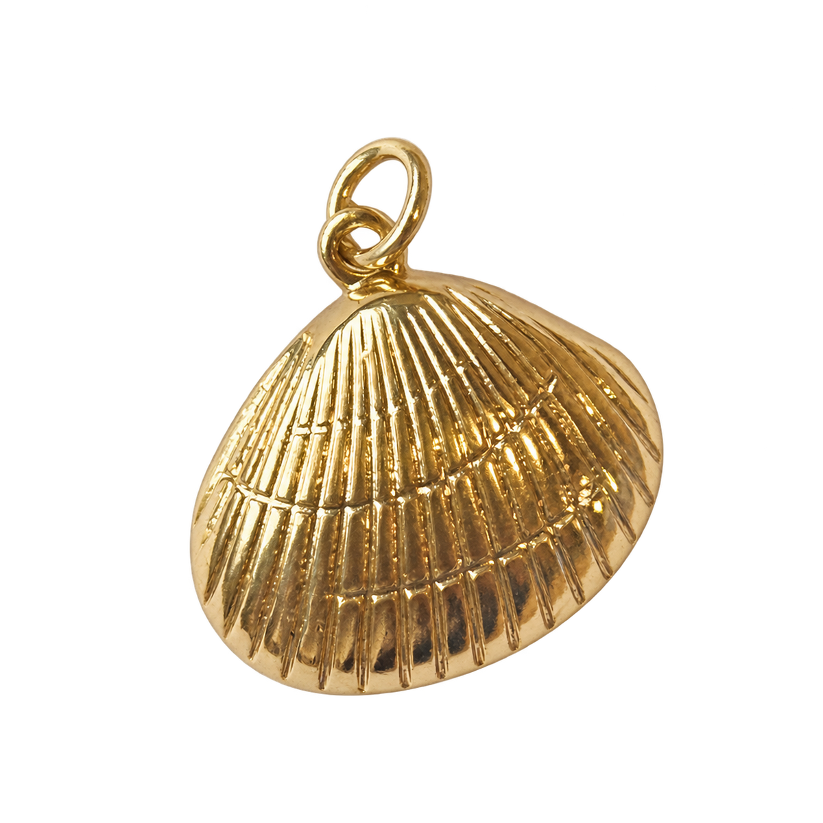 Gold oyster shell on transparent background