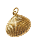 Gold oyster shell on transparent background