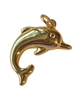 DOLPHIN Charm on transparent background