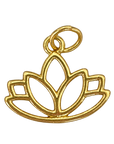 LOTUS Charm on transparent background