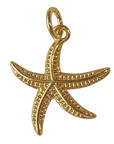 Medium Gold filled starfish Charm on transparent background