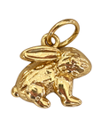 Bunny rabbit  Charm on transparent background