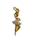 Ballerina Charm on transparent background