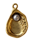 PVD Good Plated Stainless Steel Oyster Shell Charm — natural photo on transparent background