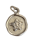 Silver sea creature collection charm — natural silver charm on transparent background