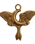 ANGEL MOON WINGS on transparent background, natural product photo
