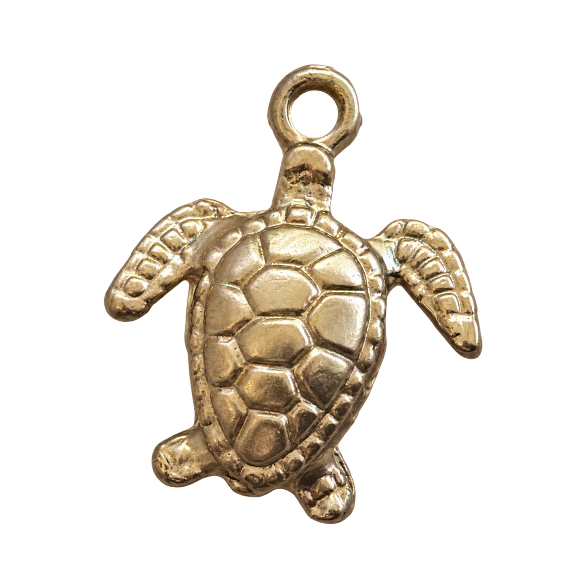 Golden Turtle charm on transparent background
