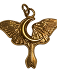 Phoenix on transparent background