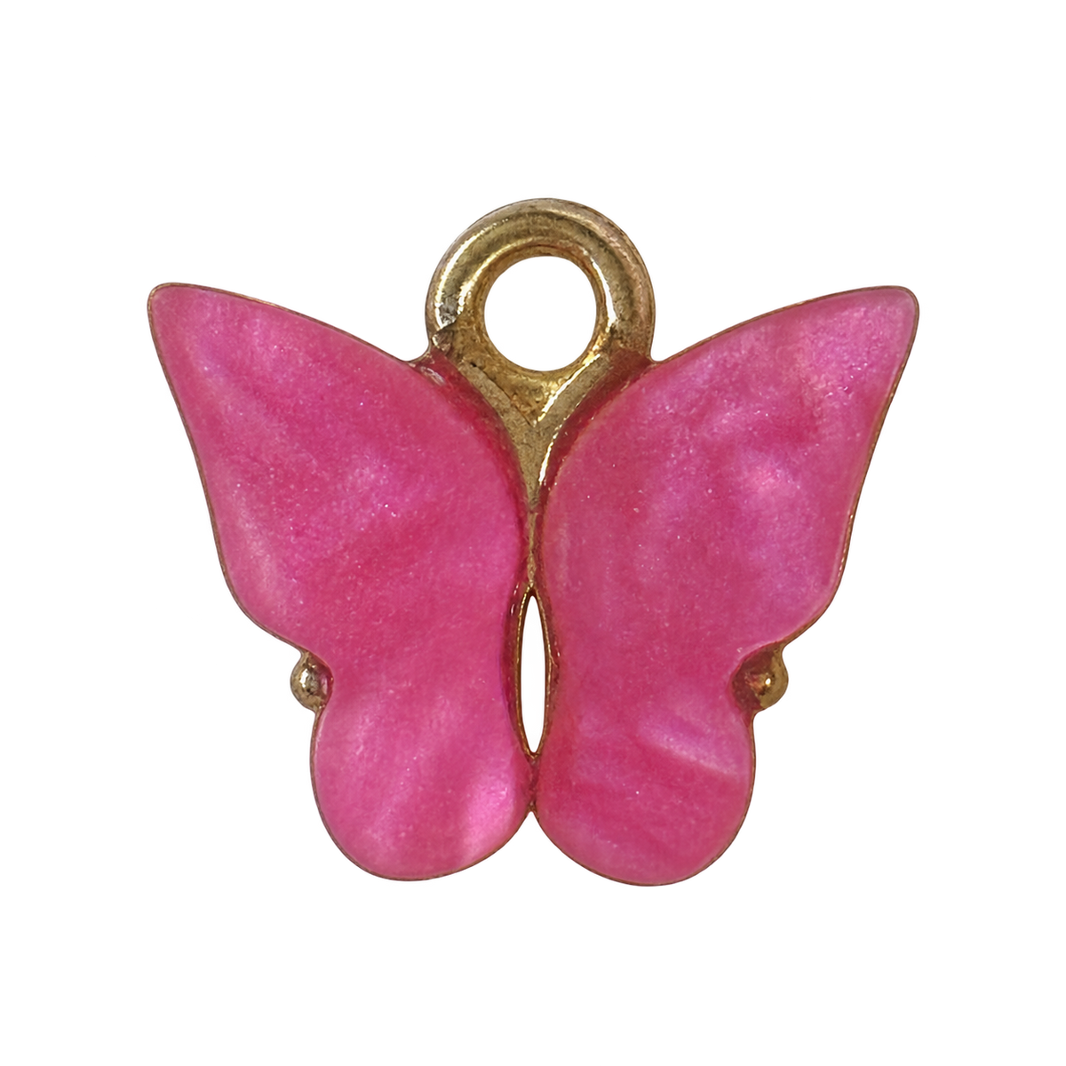 Butterfly charm on transparent background